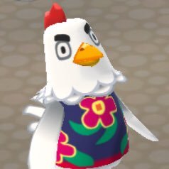 DeadAccount91's profile picture. Perhaps don’t follow.