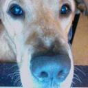 Michael Iannetta - @MIannetta - Twitter