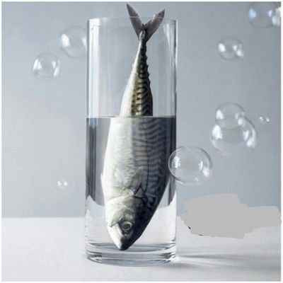 solidwork1's profile picture. Mechanical engineer and secular secretary.