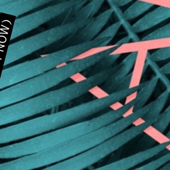 shaneparkerfilm's profile picture. 