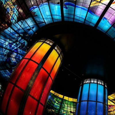 Sahan9lakshan's profile picture. Trust is very Rare.