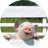 Edje 🐖🇳🇱️ wap nooit maar ben wel een wappie🤪