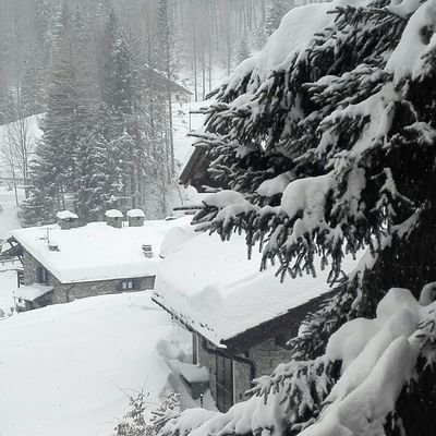 EdoardoMilano's profile picture. 