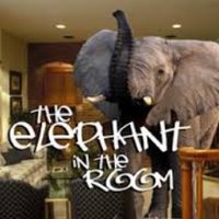 Elephant in the room(@LuxonNotMyGovt) 's Twitter Profile Photo