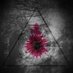 The Darkening (@thedarkeningdfw) Twitter profile photo The Darkening (@thedarkeningdfw) Twitter profile photo