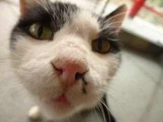 kamekamekameyo's profile picture. 最近２０数年ぶりにギター弾き始めました。

・HRやメタル好きからだんだんブルースにハマってきてます。アドリブ弾けるようになりたい。　写真も好き。

・・・たまに、ギター練習記録にも使ってます。