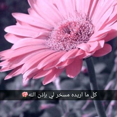 مدرب تنمية بشرية معتمد
عضو في البورد الامريكي
مهتمة في تطوير الذات
66890166