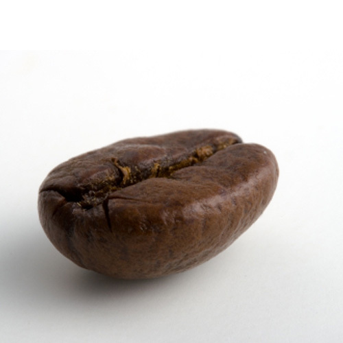 CoffeeThings's profile picture. News about all things coffee