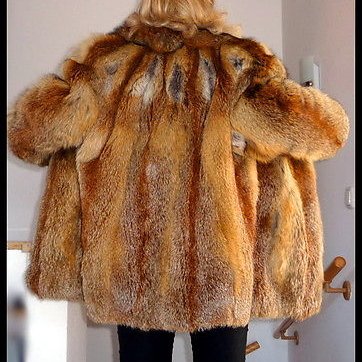 FurryStefan's profile picture. nope ;-)