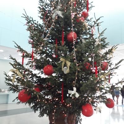 albert_martau's profile picture. Food & Talent