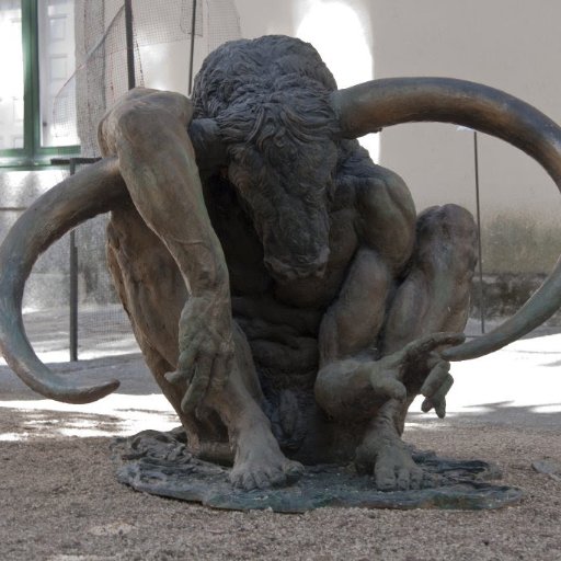 turgayskya's profile picture. kitap çevirmeni