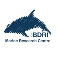 Bottlenose Dolphin Research Institute - BDRI(@thebdri) 's Twitter Profileg