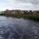 Irene Goodwin - @ireneGo - Twitter