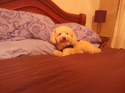 mrosas49's profile picture. 