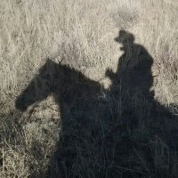 K Puckett (@cattledrover) 's Twitter Profile