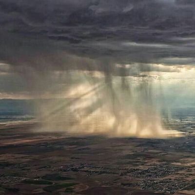 ‏‏شاگرد محمدعلی طاهری عزیز🌿