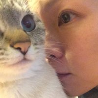 藤谷みき・みけ (@fujitany) 's Twitter Profile Photo 藤谷みき・みけ (@fujitany) 's Twitter Profile Photo