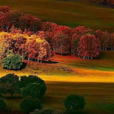 https://t.co/tzHengCy4u 
जीव हमारी जाती है,मानव धर्म हमारा.
हिंदू,मुस्लीम,सिख,ईसाई धर्म नही कोई न्यारा.