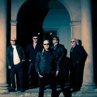 Loosehounds (@loosehounds1) 's Twitter Profile