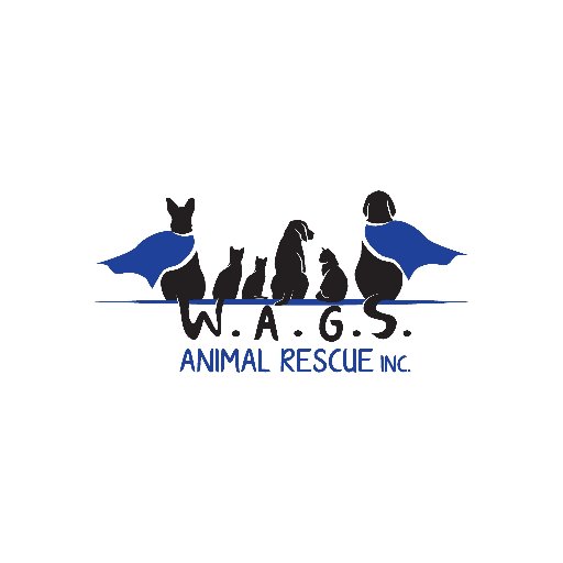 W.A.G.S. Animal Rescue is a new pet rescue in Ocala, Florida, dedicated to working, advocating, giving, and saving so that all pets have a better chance!