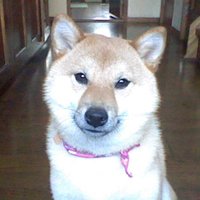 せい (@masa200778) 's Twitter Profile Photo