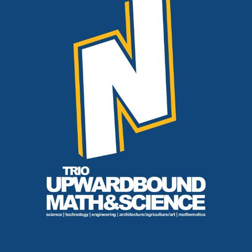 The TRIO Upward Bound Math and Science provides services to Low Income, First Generation College Bound High School students in Chicago and the nearby Suburbs.