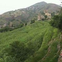 محمد عبدالله عبدالله (@d7iqnzebxrbbe3y) Twitter profile photo