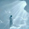 wearecryptoarmy's profile picture. “Do not store up for yourselves treasures on earth, where moths and vermin destroy, and where thieves break in and steal. " Matthew 6:19-21
