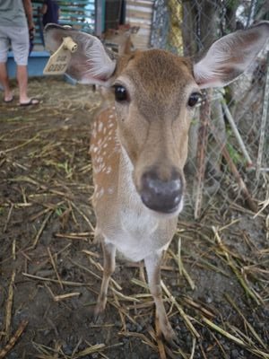 wu19287984's profile picture. Hi