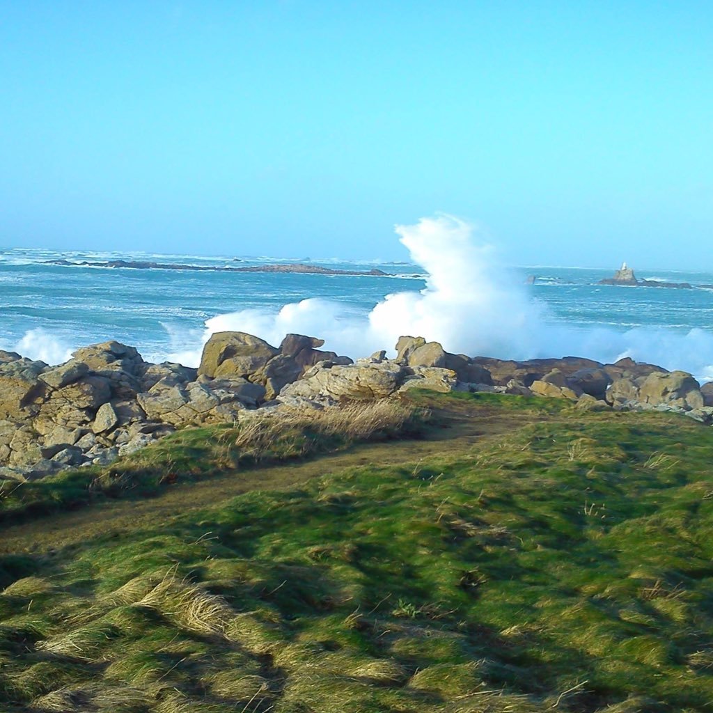 clemduuu's profile picture. 