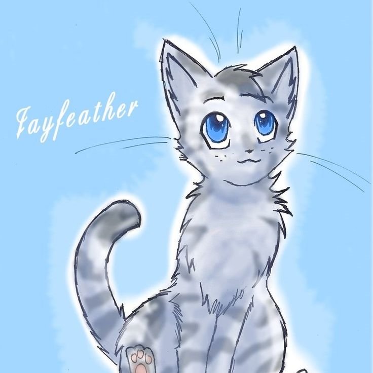 jayfeather31 Profile Picture