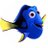 Dory