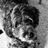 Sherry Saccoliti (@sherrysaccoliti) 's Twitter Profile Photo