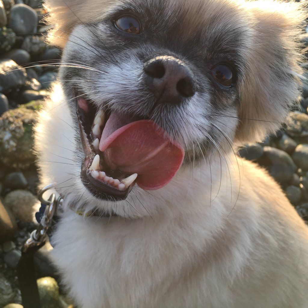 jdobiash's profile picture. 