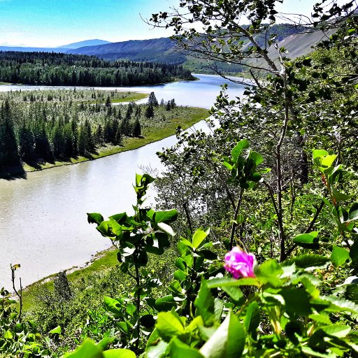 Site C Summit Profile