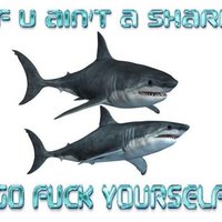 Marine Biology Shitposts(@MarineShitposts) 's Twitter Profile Photo