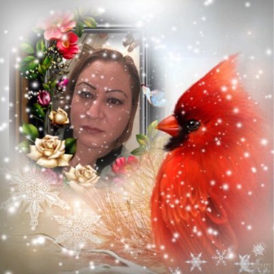 liz18441443's profile picture. Después de ti quien