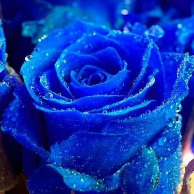 xm37c5KtNnwvncC's profile picture. ❤