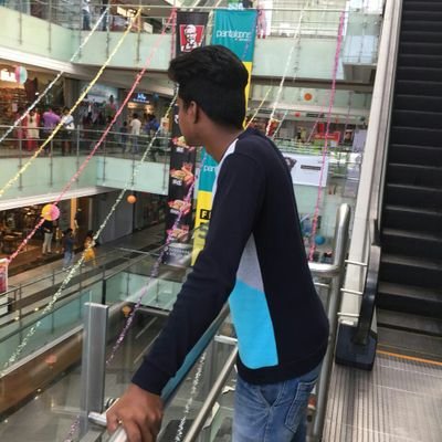 Cricket//happiest man in the world// pet lover//dubs lover