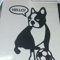 ゲットゴ~ル (@sakatagetgoal) 's Twitter Profile Photo ゲットゴ~ル (@sakatagetgoal) 's Twitter Profile Photo