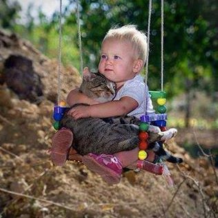 Guitarist and cat lover. Voted to Remain on the basis of the loonies who would be deciding our future if we left. Looks like I was right.