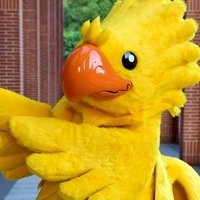 狐狸❖こり🦊🐤🌐🐭🦊 (@cori_fox) 's Twitter Profile Photo 狐狸❖こり🦊🐤🌐🐭🦊 (@cori_fox) 's Twitter Profile Photo