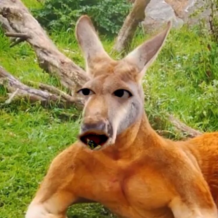 overbite03212's profile picture. 