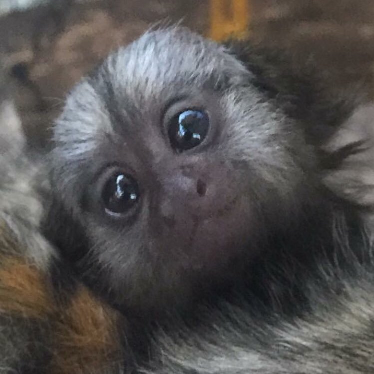 Brendan73909611's profile picture. I am 21 years old! I am a drummer! almost 22 years old! single nice guys seems to be last!