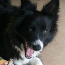 Glen Hutton - @abbalooga - Twitter