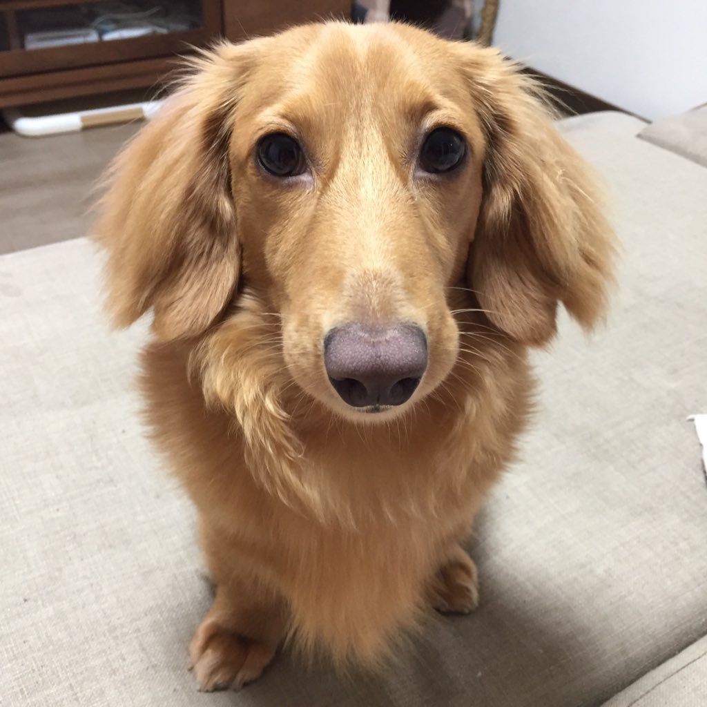 hime_now's profile picture. 子どもは双子を含む3人（うち不登校経験2名）。経営者。デザイン、子育て、フィリピン、愚痴、独り言などいろいろ呟きます。