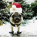 Bruce Stevens - @bogzz - Twitter