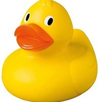 Whitehead Ducks(@WhiteheadDucks) 's Twitter Profile Photo