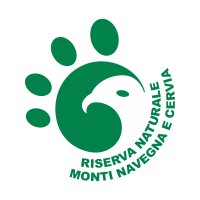 Navegna e Cervia (@navegnacervia) 's Twitter Profile