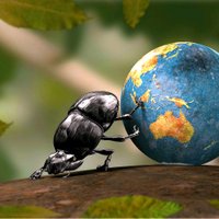 Andreas Kreissl 🌹#Stand Up! (@silverhead1964) Twitter profile photo